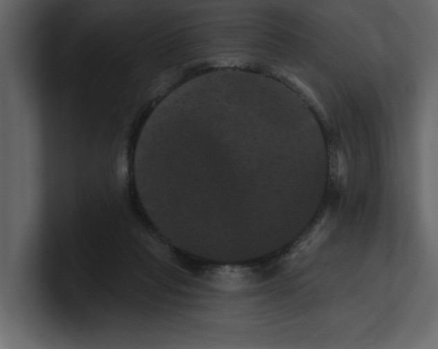 X0000100920261200807151228