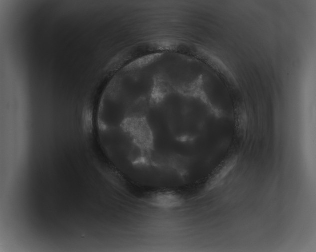 X0000100920262200807151228