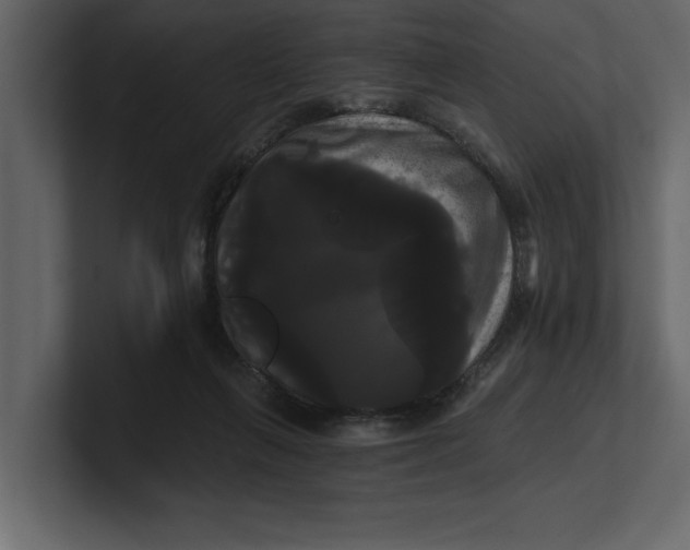 X0000100920263200807151228