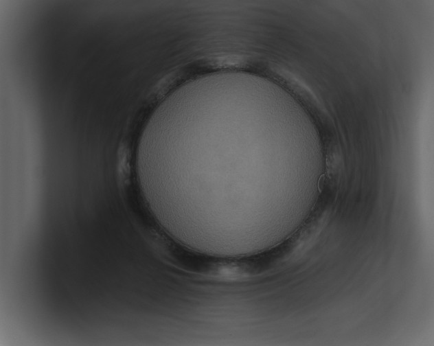 X0000100920264200807151228