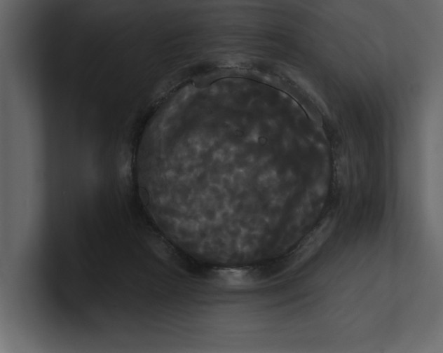 X0000100920265200807151228
