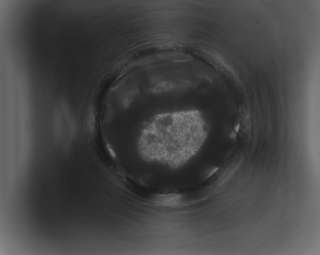 X0000100920266200807151228