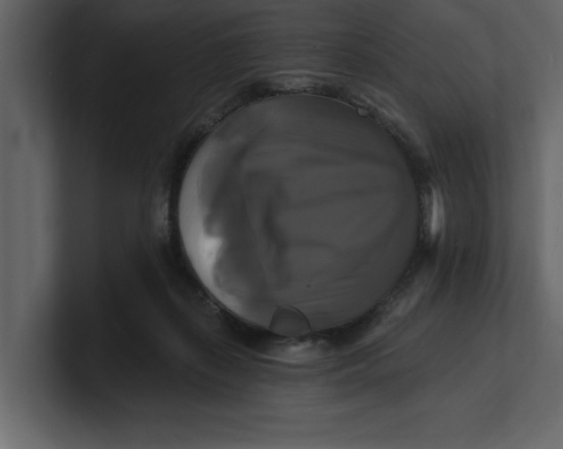 X0000100920267200807151228
