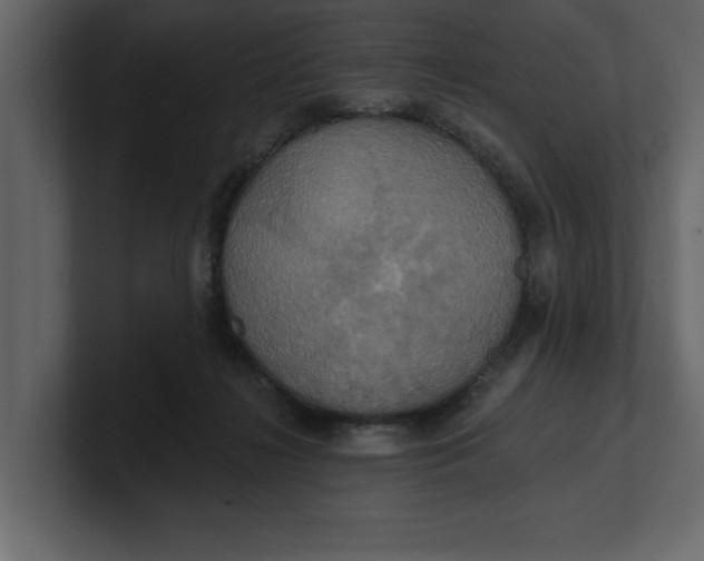 X0000100920268200807151228