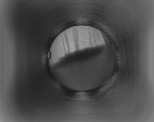 X0000100920269200807151228