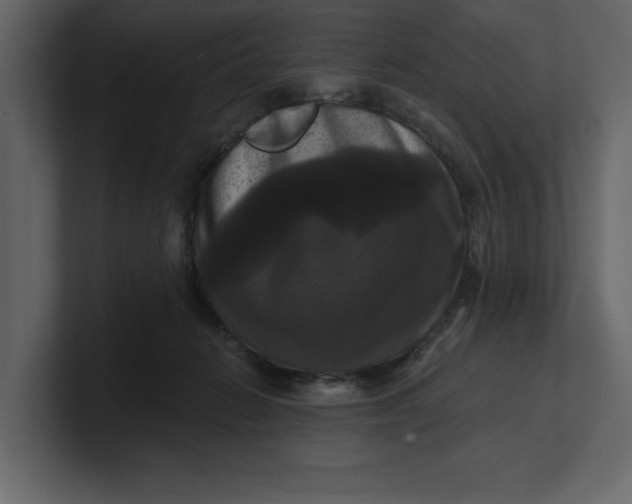 X0000100920270200807151228