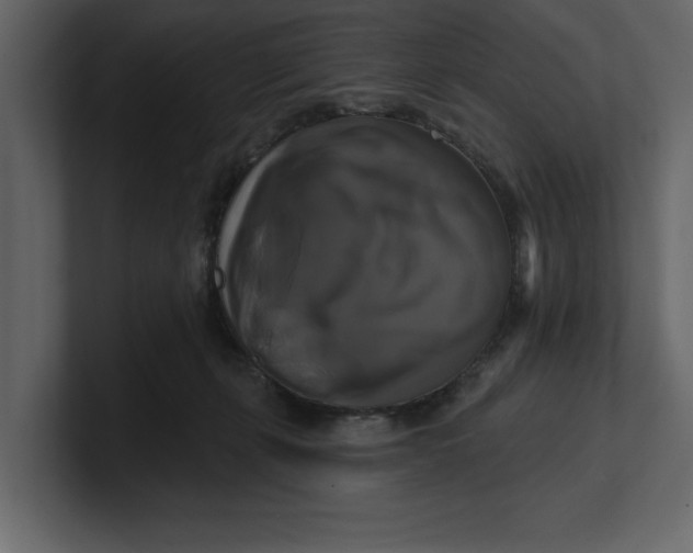 X0000100920271200807151228