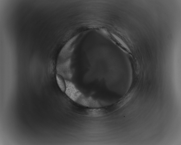 X0000100920273200807151228