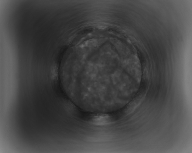 X0000100920274200807151229