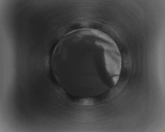 X0000100920275200807151229