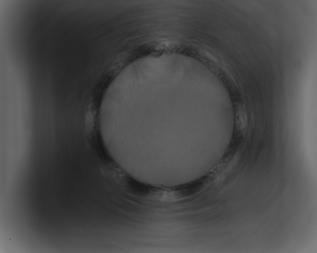 X0000100920276200807151229