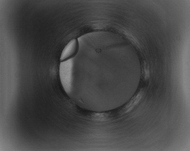 X0000100920277200807151229