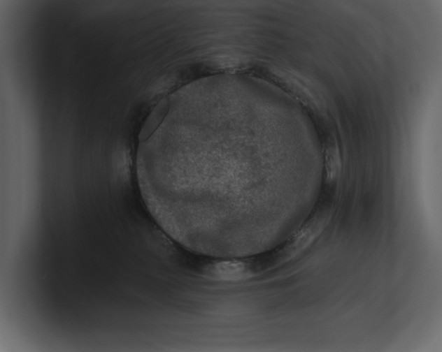 X0000100920279200807151229