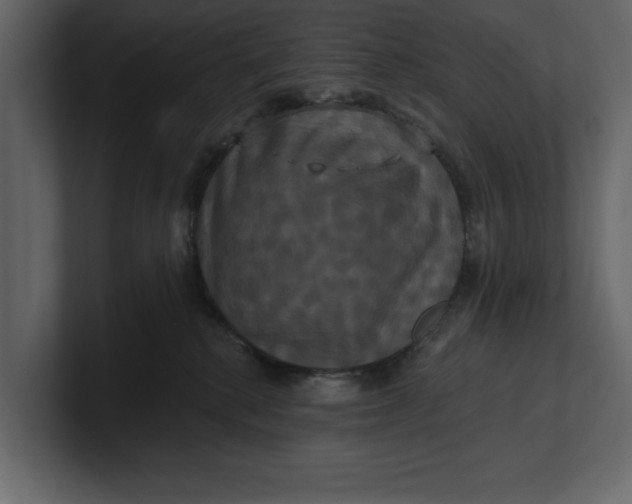 X0000100920280200807151229
