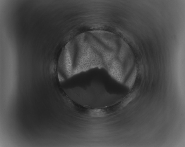 X0000100920281200807151229