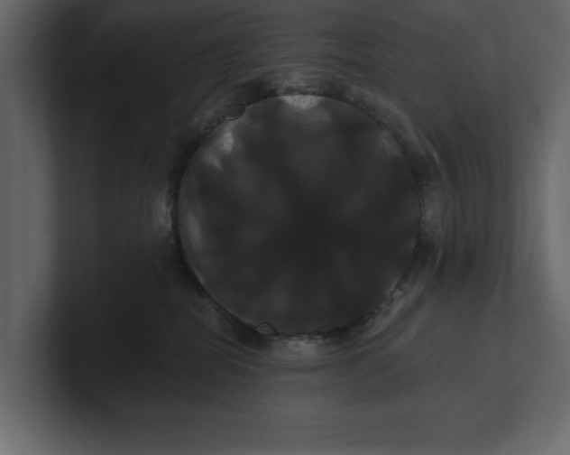 X0000100920282200807151229
