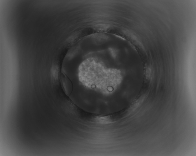X0000100920283200807151229