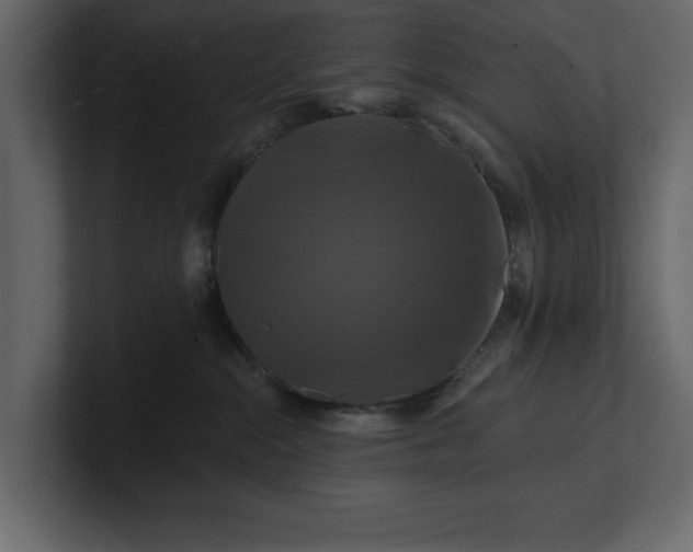 X0000100920284200807151229