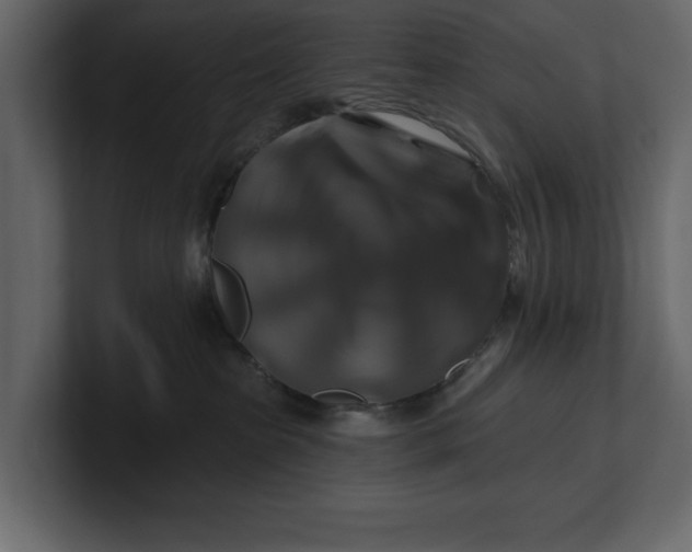 X0000100920285200807151229