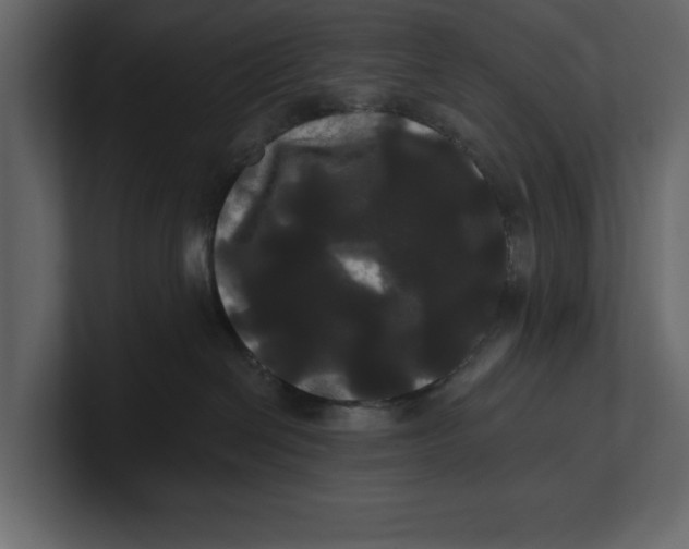 X0000100920286200807151229