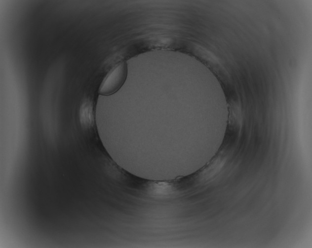 X0000100920287200807151229