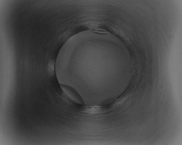 X0000100920288200807151229