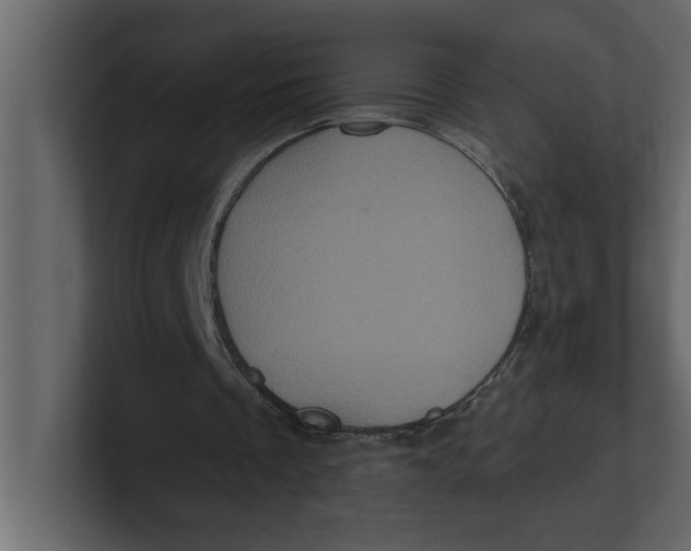 X0000100920289200807151228
