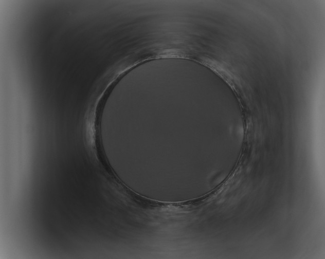 X0000100920290200807151228