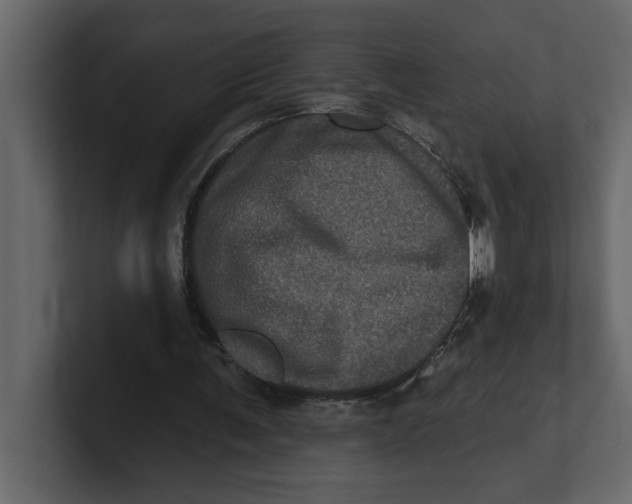 X0000100920291200807151228