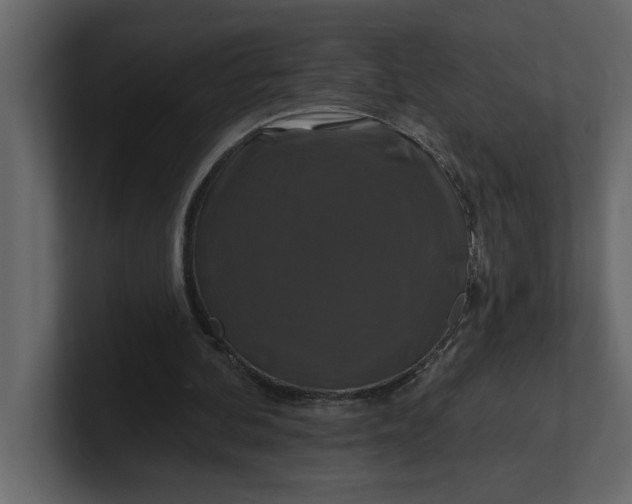 X0000100920292200807151228