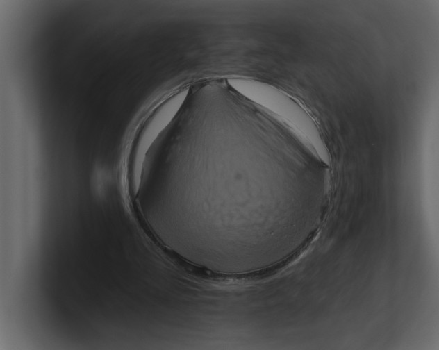 X0000100920293200807151228