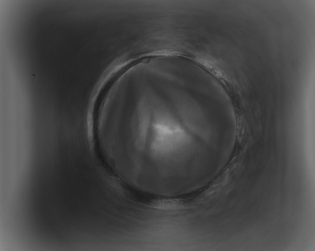 X0000100920296200807151228