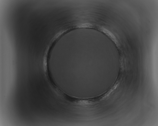 X0000100920298200807151228