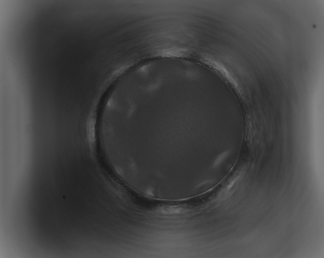 X0000100920299200807151228