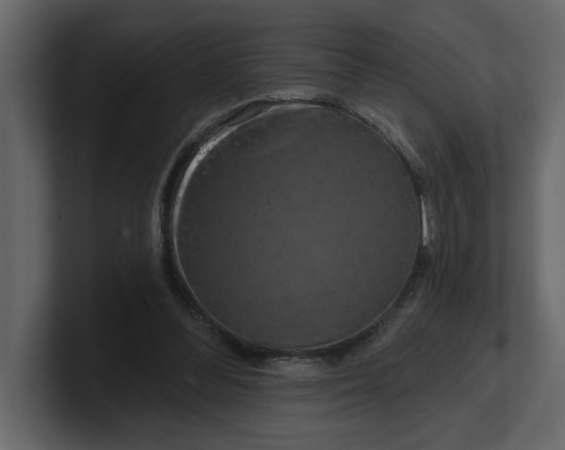 X0000100920300200807151228