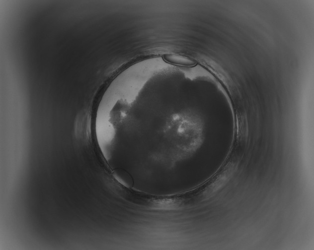 X0000100920301200807151228