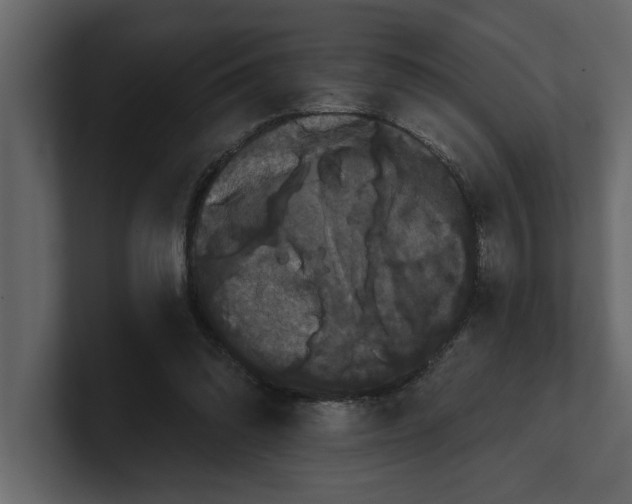 X0000100920302200807151228
