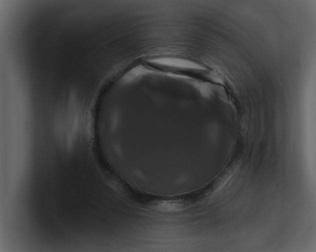 X0000100920303200807151228