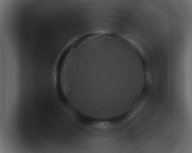 X0000100920304200807151228