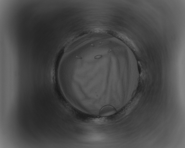 X0000100920306200807151228