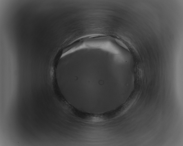 X0000100920308200807151228