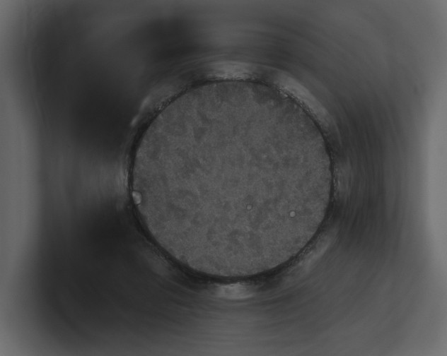 X0000100920309200807151228