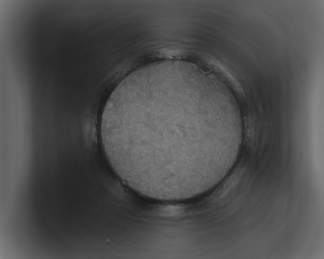 X0000100920313200807151228