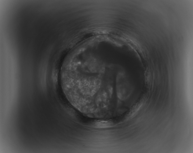 X0000100920315200807151228