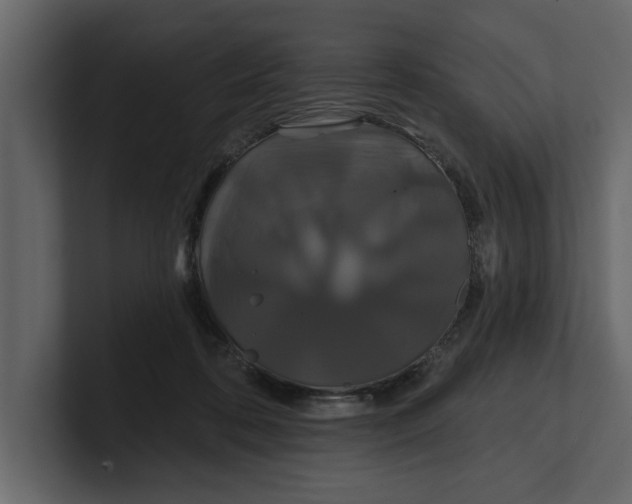 X0000100920316200807151228