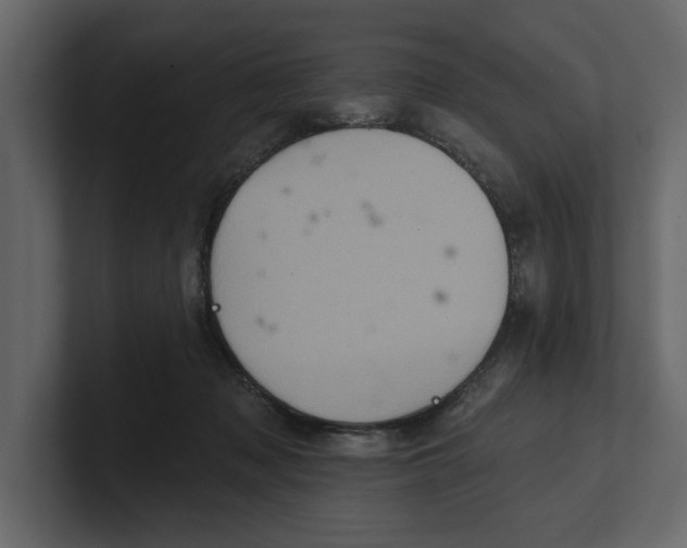 X0000100920317200807151228