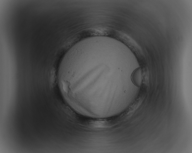 X0000100920318200807151228