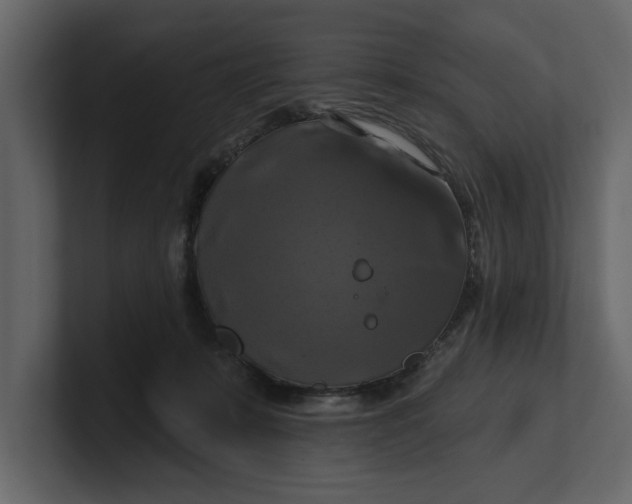 X0000100920319200807151228