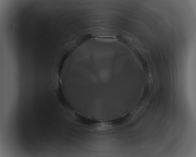 X0000100920320200807151228