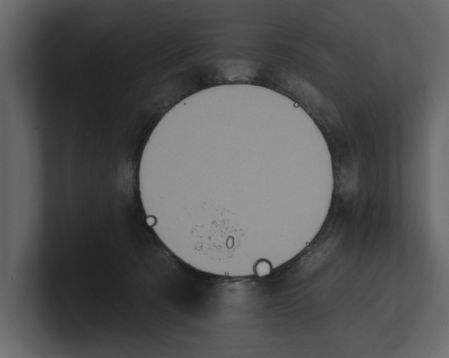 X0000100920321200807151228